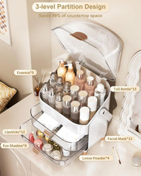 Vanity Makeup & Skincare Organizer